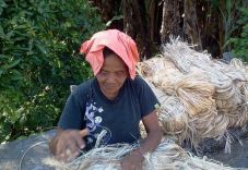 Petani Manado jual bahan...