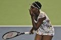 Pennetta main ngotot,...
