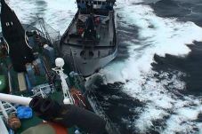 Sea Shepherd diserang...