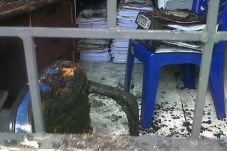 9 CCTV rekam aksi pembakaran...