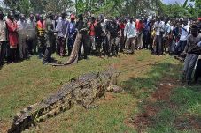 Tewaskan 6 warga Uganda,...