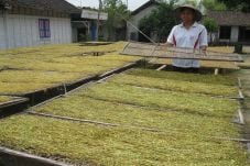 Menperin: Roadmap industri...