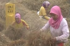 Tak percaya caleg, buruh...