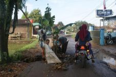 Warga tanami pohon pisang...