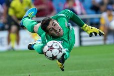 Courtois diperbolehkan...