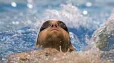 Rencana comeback Phelps...