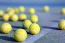 260 petenis ramaikan...