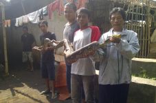 Ular jadi-jadian gegerkan...
