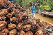 Kaltim fokus kembangkan...