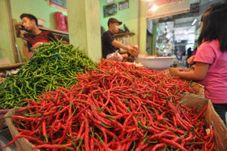 Harga cabai anjlok,...