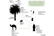Banten waspada virus...