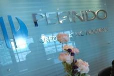 Pefindo dan BEI atur...