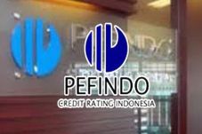 Pefindo: Kinerja kami...