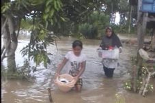 Puluhan rumah dan ratusan...