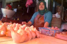 Harga Daging Ayam di...