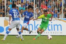 Beruang Madu Main Aman...
