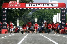 Gelar Lomba Lari, DKI...