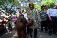 Pemkot Tambah Anggaran...