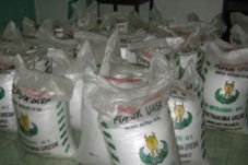 Stok Pupuk Urea di Pasuruan...