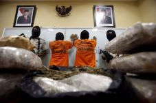 Mau Pesta Ganja di UI,...