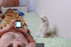 Seekor Kucing di Rusia...