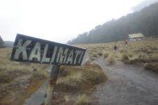 Pendaki Hilang di Semeru,...