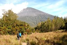 Pendaki Semeru yang...