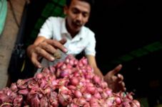 Harga Bawang Merah dan...