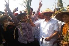 JK Panen Padi Bersama...