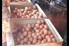 Mendag: Harga Telur...