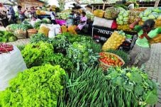 Antisipasi Harga Pangan