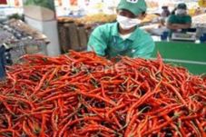 Harga Cabai Rawit dan...