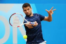 Dimitrov Capai Final...