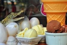 Sensasi Es Krim Rasa...