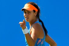 Ivanovic Rebut Trofi...
