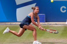 Zahlavova Strycova Tunggu...