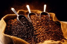 Produktivitas Kopi di...