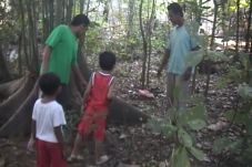 Bayi Dibuang di Kebun...