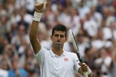 Djokovic Dihadang Stepanek