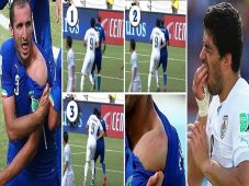 Chiellini Korban Gigitan...