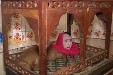 Rubah Berkepala Manusia...