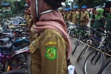 1.156 CPNS DKI Diberi...
