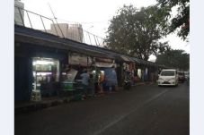 Pedagang Ikan Hias Minta...