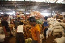 CT Tinjau Harga Bahan...