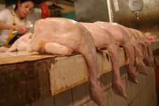 Kenaikan Harga Daging...