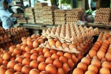 Harga Telur Ayam Melonjak...
