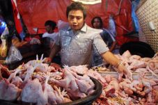 Awas, Makanan Mengandung...
