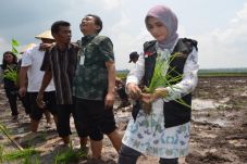 Hatta Beri Kado Istimewa...