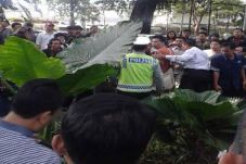 TPS Jokowi Ricuh, Pengunjung...
