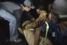 Andik Tewas Menggantung,...